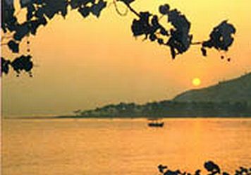 �o������/�^/Bali-Cafe[�o���J�t�F]