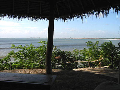 �o�����i�F/Bali-Cafe[�o���J�t�F]