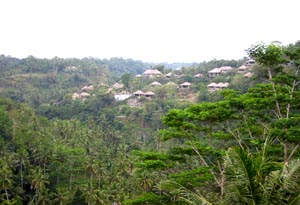 �o�����i�F/Bali-Cafe[�o���J�t�F]
