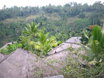 �o�����i�F/Bali-Cafe[�o���J�t�F]