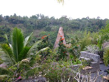 �o�����i�F/Bali-Cafe[�o���J�t�F]