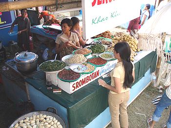 �o�����i�F/Bali-Cafe[�o���J�t�F]