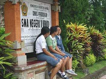 �o�����i�F/Bali-Cafe[�o���J�t�F]