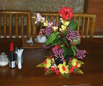 �o�����i�F/Bali-Cafe[�o���J�t�F]