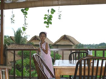 �o�����i�F/Bali-Cafe[�o���J�t�F]