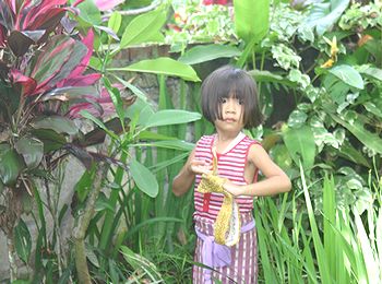 �o�����i�F/Bali-Cafe[�o���J�t�F]