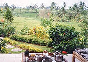 �o�����i�F/Bali-Cafe[�o���J�t�F]