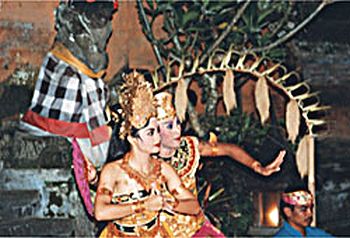 �o�����i�F/Bali-Cafe[�o���J�t�F]